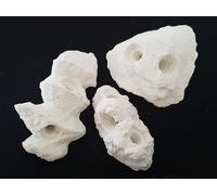 Reef-Geeks, Frag Rock 3-Piece Coral Frag Mounting Set - Natural Textured Reef-Safe Rock for Mushroom, Zoa, SPS & LPS Corals - Handmade in the UK (Medium)