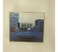 Reef - I Got Something to S