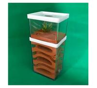 REEKOS Ant Nest Ant Farm Ant Habitat Ant Castle Transparent Plastic Ant Farm Gypsum Ant Workshop Ant Nest Farm Feeding Box Ant Nest Castle Ant Castle Ant House