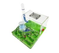 REEKOS Ant Nest Ant Farm Ant Habitat Ant Farm Acrylic Ant Castle Breeding Hydrating Nest Science Observation DIY Ant Nest Farm Ant Science Kit Ant Castle Ant House(Grün)