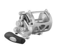 Reel Penn INT130VIS International Argenté TU