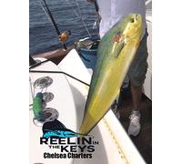 Reelin' In The Keys - Chelsea Charters