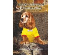 Reencuentros y extravíos: Crónica de una mascota