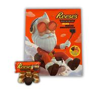 Reeses Peanut Butter Advent Calendar with Peanut Butter Treats 242g