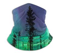 ReesEt Northern Lights Aurora Borealis Neck Gaiter Soft Face Cover Neck Warmer Tube Half Face Mask Scarf Balaclava For Outdoor Sports