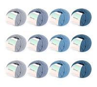 Reessy 12 × 50g Merino Wool Yarn for Crochet and Knitting, Soft and Warm Knitting Wool, 98% Wool 2% Cotton Yarn for Knitting Sock, Scarves, Shawls, Blankets and Garments - Blue