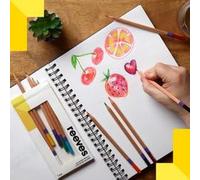 Reeves Colour Pencils Set - 24 assorted colours - Art Supplies for beginners, leisure and recreational users