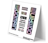 REF:VP450 Stickers compatible with Rock-Shox DOMAIN 2021,2022 MTB fork, stickers, stickers, vinyls for mountain bikes. (HOLOGRAPHIC)