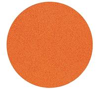 Refina Power Sponge Float Replacement Orange Sponge Discs- Sponge Float 16'' Sponge & Float Disc,Refina Orange disc- Refina Power Float for Smoothing, Scraping and Floating of Plaster (Orange)