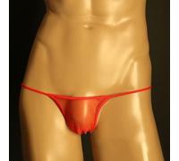 Refined Men's Sheer Pouch Briefs, Elegant and Sensual Low Rise G String Underwear Option (L Red)