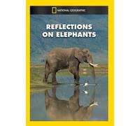 Reflections on Elephants [DVD] [Region 1] [US Import] [NTSC]