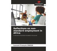 Reflections on non-standard employment in Africa: In the era of business incubation structures