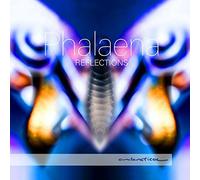 Phalaena - Reflections
