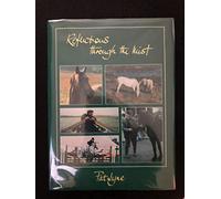 Reflections Through the Mist: Connemara Pony