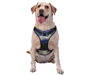 Reflective Airplane on Lake printed dog harness breathable adjustable pet vest 4 sizes M with quick-release buckles suitable for walks and camping