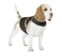 Reflective and luminous dog safety vest with usb Duvoplus