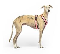 Reflective Anti-Pull "Y" Shaped Harness - Ideal for Lebreles: Italian Greyhound, Whippet, Greyhound, Podenco - Safe, Breathable and Durable - Perfect for Walking, Training and Running - Pink, M