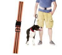 Reflective Belt for Walking at Night - Adjustable Elastic Safety Band,High Visibility Elastic Glow Belt - for Night Runners Men Outdoor Riding Cycling