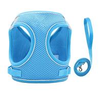 Reflective Cat Vest Harness | 360 Degree Rotating Traction Hook for Protection | Lightweight Pet Leash Harness for Cats/Dogs | Breathable Mesh, Easy On & Off (S)