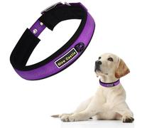 Reflective Dog Collar, Comfy Soft Neoprene Padded, Heavy Duty Nylon Pet Collars with Metal Buckle Adjustable for Small Medium Large X-Large Dogs(Purple,L)