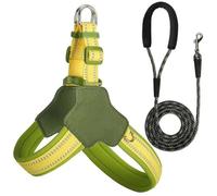 Reflective Dog Harness and Leash Set Designed for Miniature Schnauzer, Anti-Pull Adjustable Pet Harness and Leash yellow S