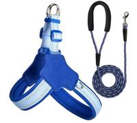 Reflective Dog Harness and Leash Set Designed for Papillon, Anti-Pull Adjustable Pet Harness and Leash blue M