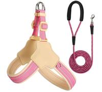Reflective Dog Harness and Leash Set Designed for Saint Bernard, Anti-Pull Adjustable Pet Harness and Leash pink M