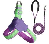 Reflective Dog Harness and Leash Set Designed for Scottish Terrier, Anti-Pull Adjustable Pet Harness and Leash purple L