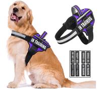 Reflective Dog Harness, Anti-Slip No Pull Dog Vest Harness with 8Pcs D