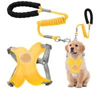 Reflective Dog Harness, No Pull Dog Wiring Harness, Dog Harness with Safety Buckle, Breathable Puppy Training for Outdoor Puppies, Puppies, Lead Rope for Small Medium Dogs