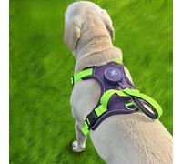 Reflective Dog Harness with Auto-Retractable Leash,Say Goodbye to Dirty Leashes,1.6m,Chest Hook Design, Safety Night Walking Vest, Blue etc (Purple)