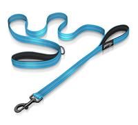 Reflective Dog Lead with Soft and Thick Padded Double Handles,2.5 cm Widthx180 cm Length, AQUA)