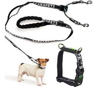 Reflective Dog Leash and Collar - Double Anchor with Pulley Effect - Adjustable in 4 Sizes - Prevents Choking and Distributes Pressure - Safety and Control for Walking and Training - ACARAPETS (XS)