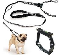Reflective Dog Leash and Collar - Double Anchor with Pulley Effect - Adjustable in 4 Sizes - Prevents Choking and Distributes Pressure - Safety and Control for Walking and Training - ACARAPETS (S)
