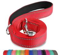 Reflective Dog Leash with Padded Handle - Durable Nylon Training and Walking Lead for Small to Medium Dogs - 1.2m x 2cm - Vibrant Red,puppy lead,dog leashes,red dog lead