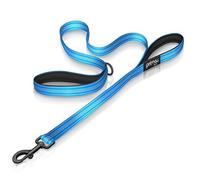 Reflective Dog Leash with Soft and Thick Padded Double Handles, 2.5 cm Width x 120 cm Length, AQUA