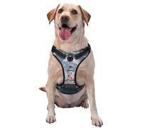 Reflective Light House Ocean printed dog harness breathable adjustable pet vest 4 sizes M with quick-release buckles suitable for walks and camping
