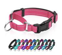 Reflective Martingale Dog Collars. Dog Collar with Quick Release Buckle. Adjustable Soft Padded Breathable Nylon Pet Collar Suitable for Puppies for Small Medium Large Dogs.