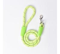 Reflective Nylon Dog Leash - 127cm Long, 2mm Thick Rope - Sturdy Metal Clasp - Comfortable Padded Handle - Night Safety Walking Lead for Small Medium Large Dogs - 6 Vibrant Colors (Green)