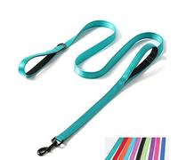 Reflective Nylon Dog Leash Heavy Duty, Two Handles with Padded for Extra Control Outside Durable Training Lead for Small Medium Large Breed Pet Dogs, 6ft Long 1-inch Width, Teal
