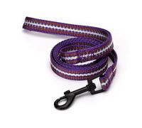 Reflective Nylon Dog Leash with High Strength and Visibility, Ideal for Safe Walks and Night Training.
