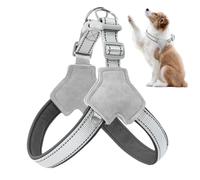 Reflective Pet Harness,Y Shaped Front Clip Dog Vest Reflective | Comfortable Adjustable Puppy Walking Training Accessories for Friends, Lovers