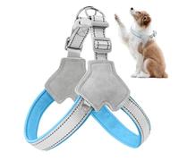 Reflective Pet Harness,Y-Shaped Reflective Dog Harness with Front Clip | Adjustable Puppy Walking Training Accessories, Anti Choke Pet Wear for Families, Friends