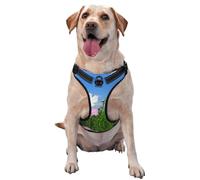 Reflective pink and white Flowers printed dog harness breathable adjustable pet vest 4 sizes M with quick-release buckles suitable for walks and camping