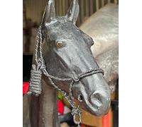 Reflective Rope Headcollar with Lead Rope Fully Adjustable (Black, Cob)