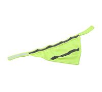 Reflective Safety Dog Scarf, Breathable Mesh Neckerchief with Adjustable Hook Loop Closure, Night Visibility Pet Bib for Medium Dogs Suitable Pet (M)