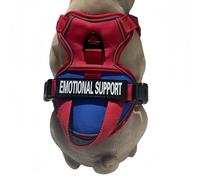 Reflective Service Vest for Dogs - Large Blue Nylon, Adjustable and Safe Structure, Weatherproof Adventure Harness | Outdoor Activities, Walks, Hiking Indoors