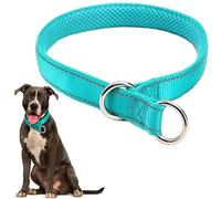 Reflective Slip Collar, Soft Nylon Padded Training Choke Collar Adjustable for Female Male Small Medium Large Dogs
