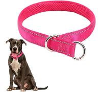 Reflective Slip Collar, Soft Nylon Padded Training Choke Collar Adjustable for Female Male Small Medium Large Dogs
