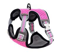 Reflective Strips Pet Cats Lead Leash Harnesses Easy Control Breathable for Pet Explos Leashes for Walking